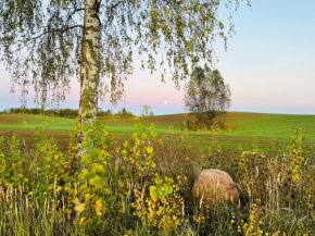 Park Wilkasy
